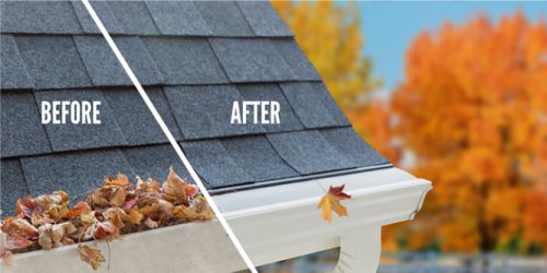 Gutter Protection